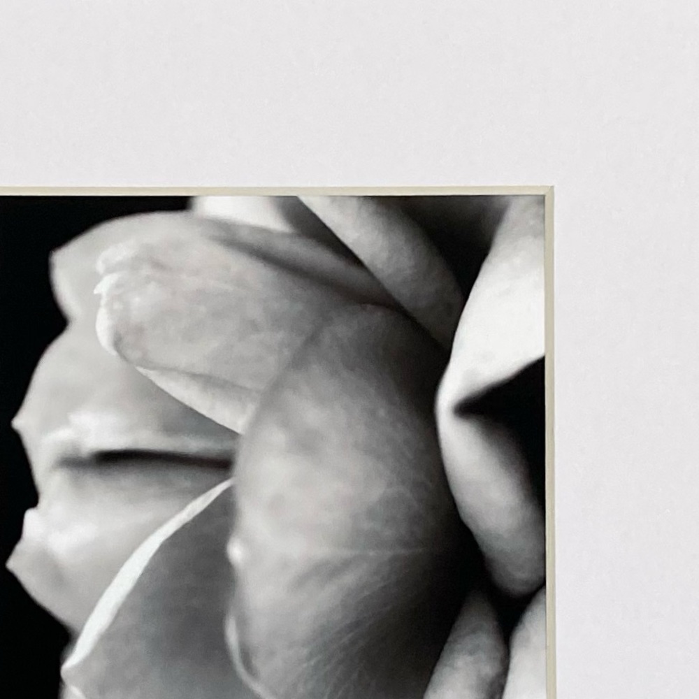 “WITHOUT YOU” ~ ORIGINAL ART by ~ @lisamichellebeckerphotography - Picture 6 of 14